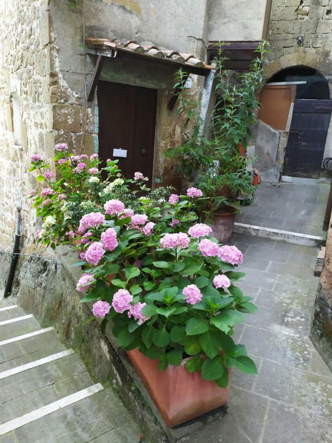 Mozzafiato Pitigliano Apartment Ngoại thất bức ảnh